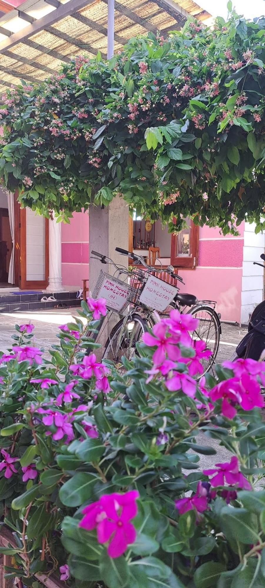 Pink House Homestay Hoi An Exterior foto